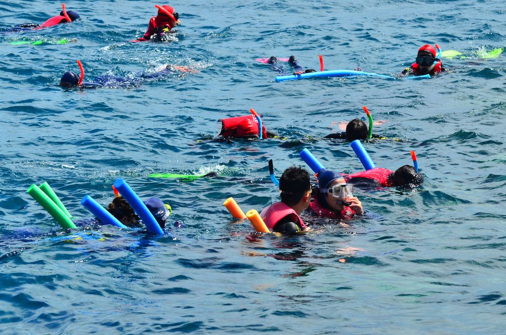 blivale_image_blog_australia_people_snorkelling_and_dive_in image blivale_image_blog_australia_people_snorkelling_and_dive_in Travel to Australia: Discover the land of contrasts between city and nature