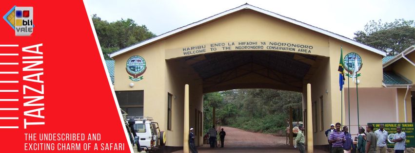 blivale_tanzania_undescribed_exciting_charm_safari_851x315 BLIVALE Blog: Guides and tips for worry-free travel - Results from #340