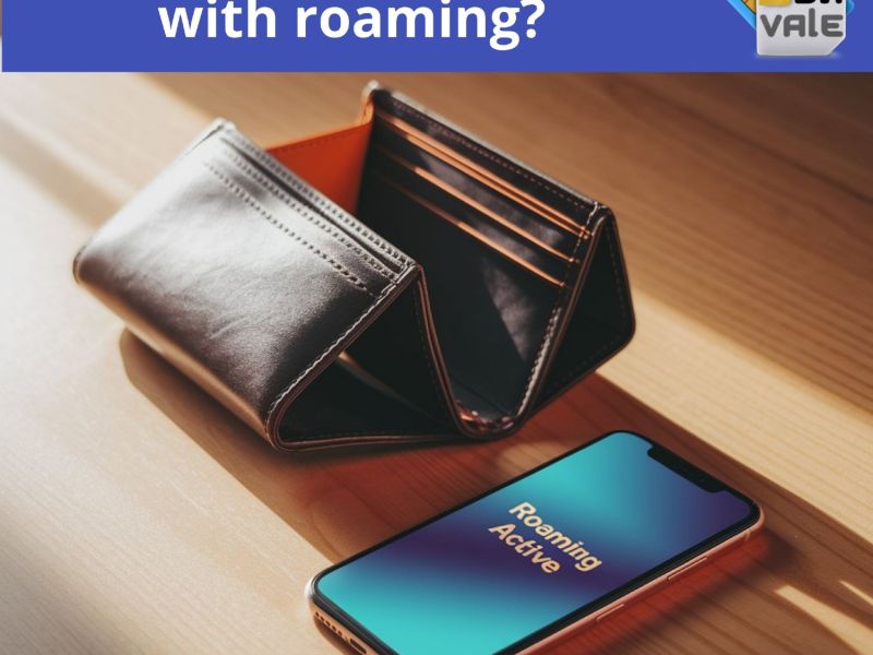 blivale-image-en-are-you-wasting-money-with-roaming-800-600-80-c blivale image en turkey without bordersx800